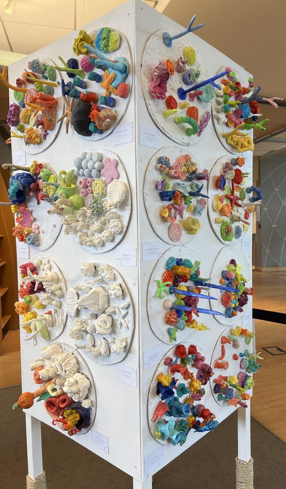 Students' clay coral reef sculptures on display from the Reach to Teach: Immersed in the Arts program at The Arts Connection.