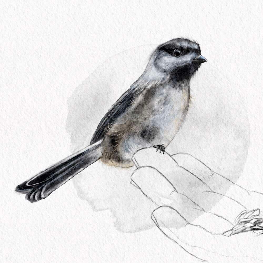 Andrea Paterson artwork 7